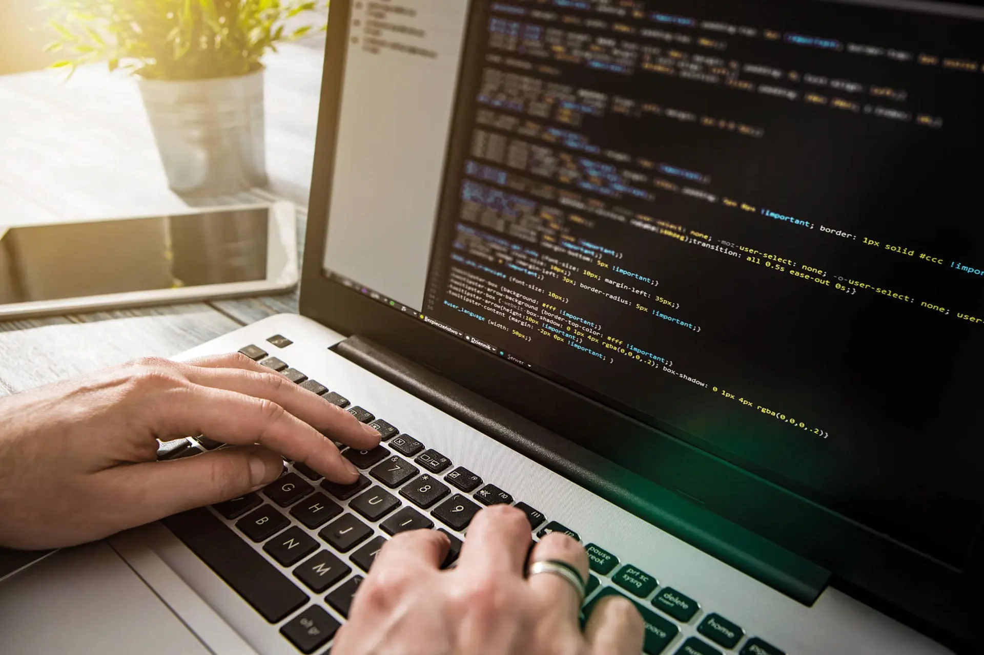 Webentwicklung & Webdesign